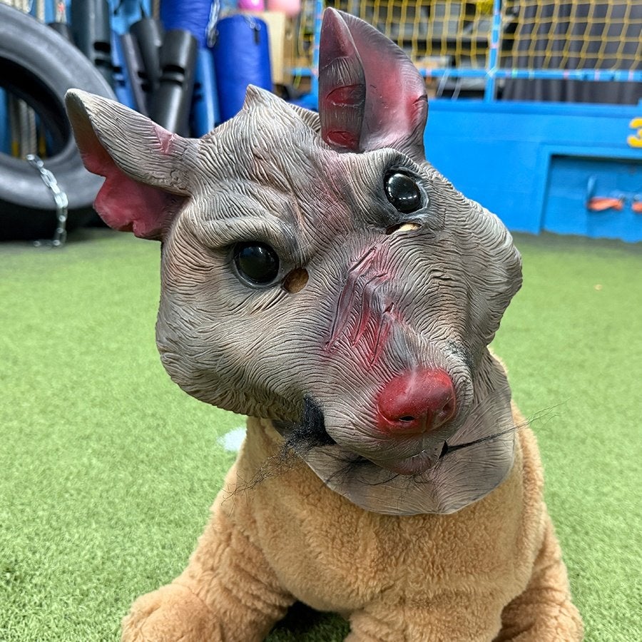 Rat Splinter Masker - Volle Hoofd Monster Muis, Ophalen of Verzenden, Zo goed als nieuw