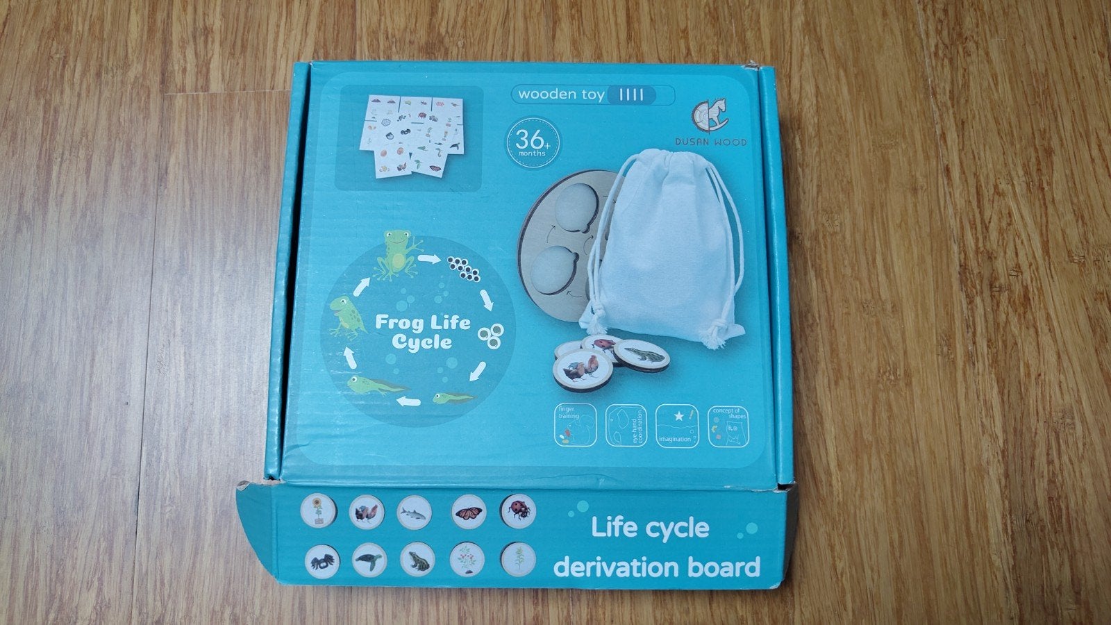 Montessori spel over de levenscyclus, Ophalen of Verzenden, Zo goed als nieuw, Puzzelen