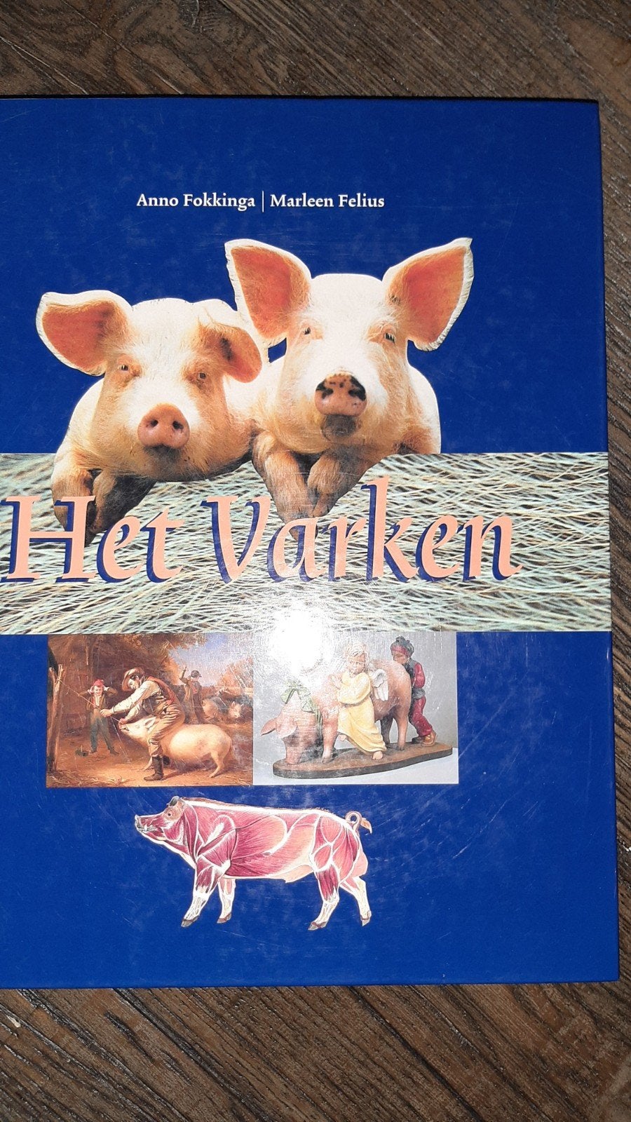 Boek Het Varken van Anno Fokkkinga en Marleen Felius, Ophalen, Zo goed als nieuw