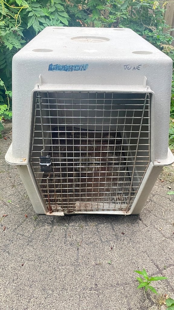Hondenbench, reisbench, Dieren en Toebehoren, Ophalen, Gebruikt