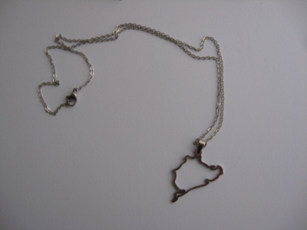 Ketting met Neurenburg ring hanger. STAINLESS STEEL, Ophalen of Verzenden, Nieuw, Formule 1