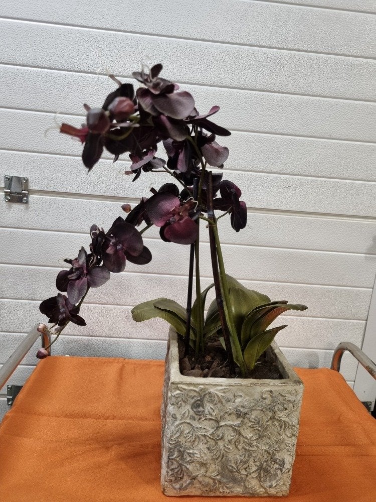 kunstorchidee in grote bloempot, Huis en Inrichting, Woonaccessoires | Kunstplanten en Kunstbloemen, Ophalen of Verzenden, 'T Olde Gre-j