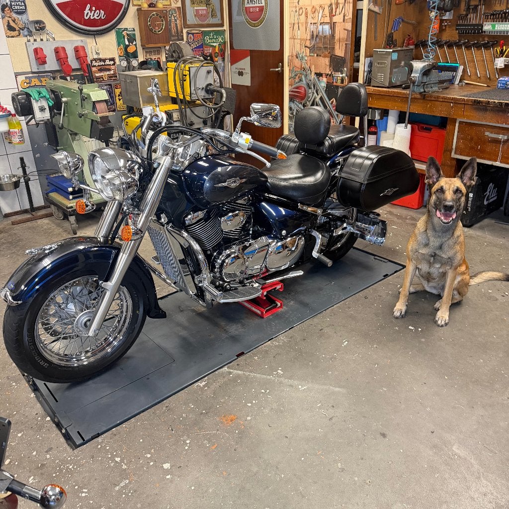 Suzuki VL800, 2 cilinders, Occasion, Chopper, Particulier