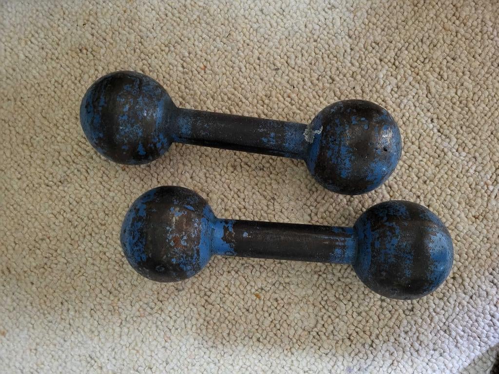2x 4KG Halters Fitness gewichten, Ophalen, Gebruikt, Dumbbell