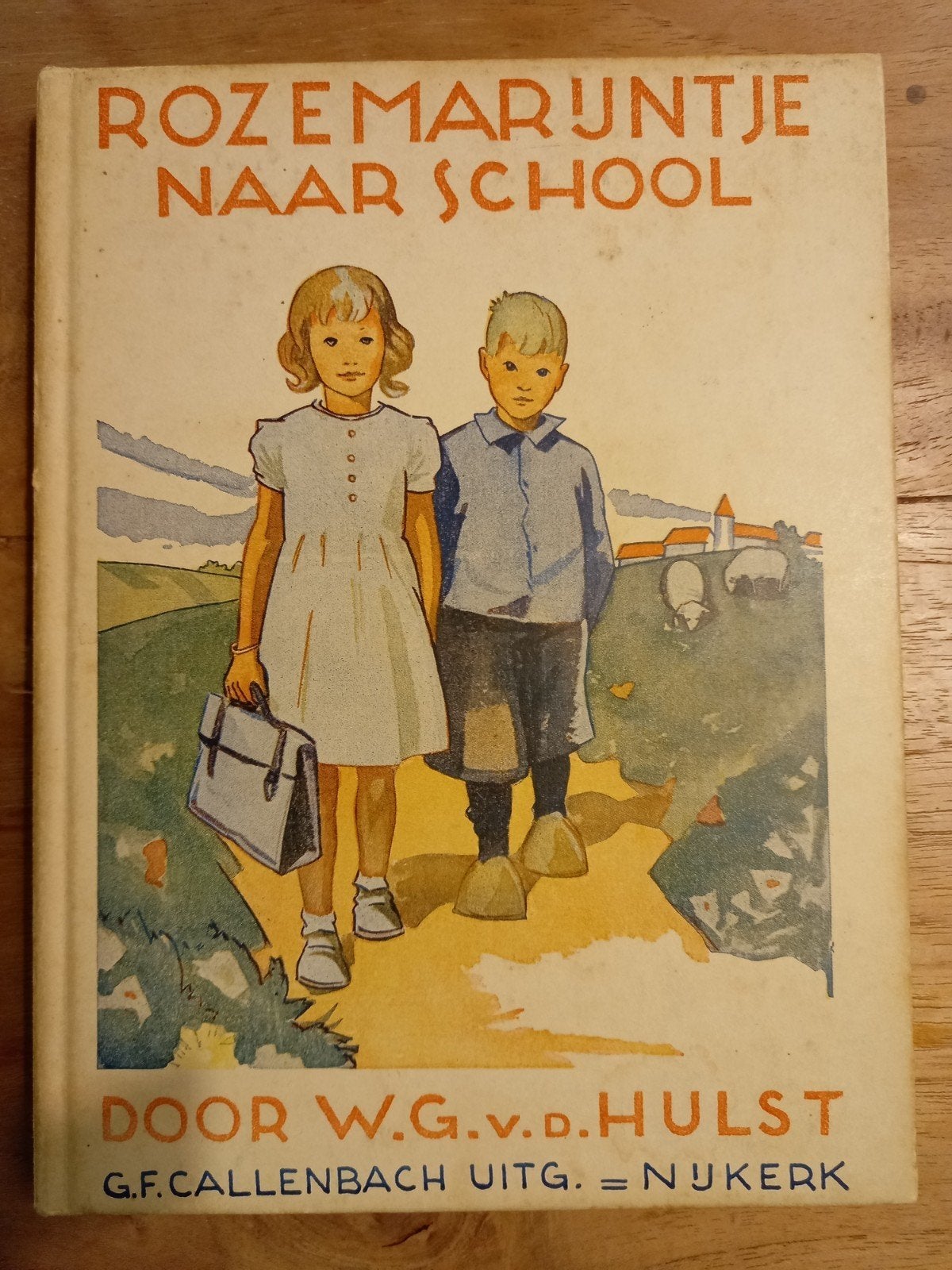 w.g. Van de hulst - 5 boekjes van Rozemarijntje, Ophalen of Verzenden, Gelezen, W.G. van de Hulst, Fictie algemeen
