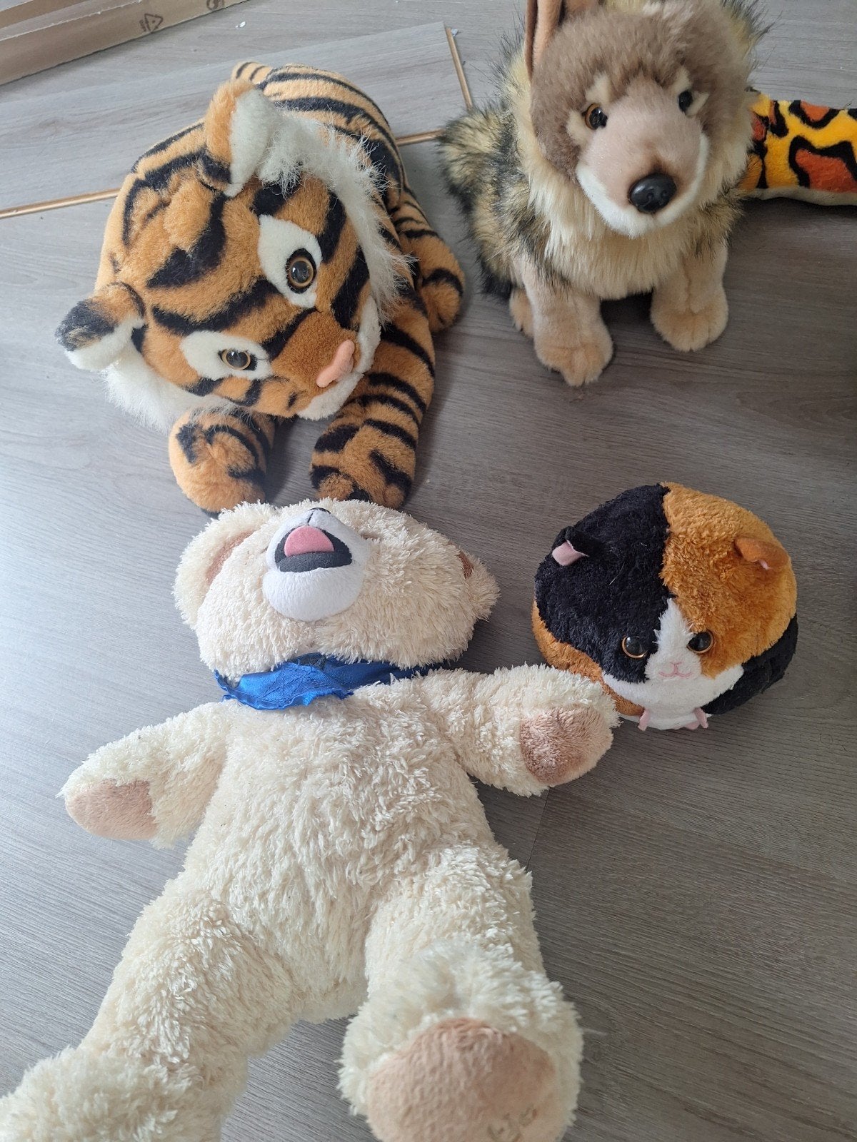 Diverse knuffels: tijger, zeehond, slang, wolf, beer, cavia, Ophalen, Gebruikt, Middelgroot (20 tot 80 cm), Bruin