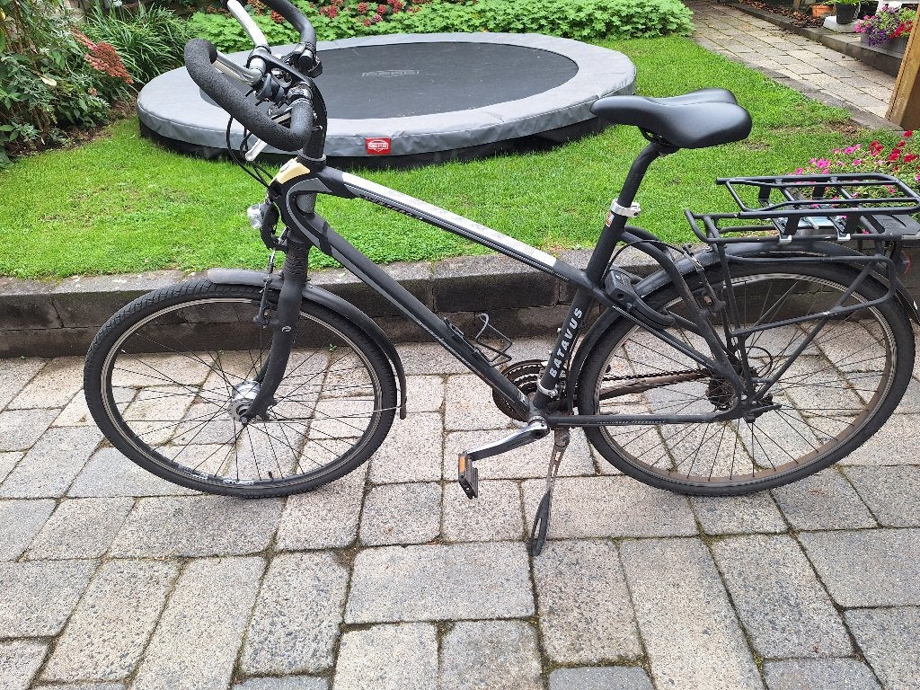 Foto 7 van Batavus Venturo s55 - opknapper