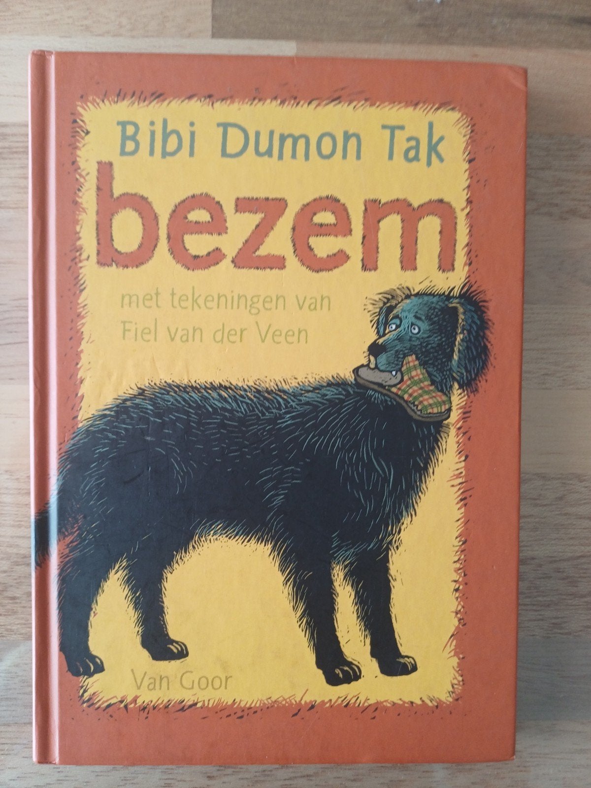 Bibi Dumon Tak - Bezem, Fictie algemeen, Ophalen of Verzenden, Zo goed als nieuw, Bibi Dumon Tak