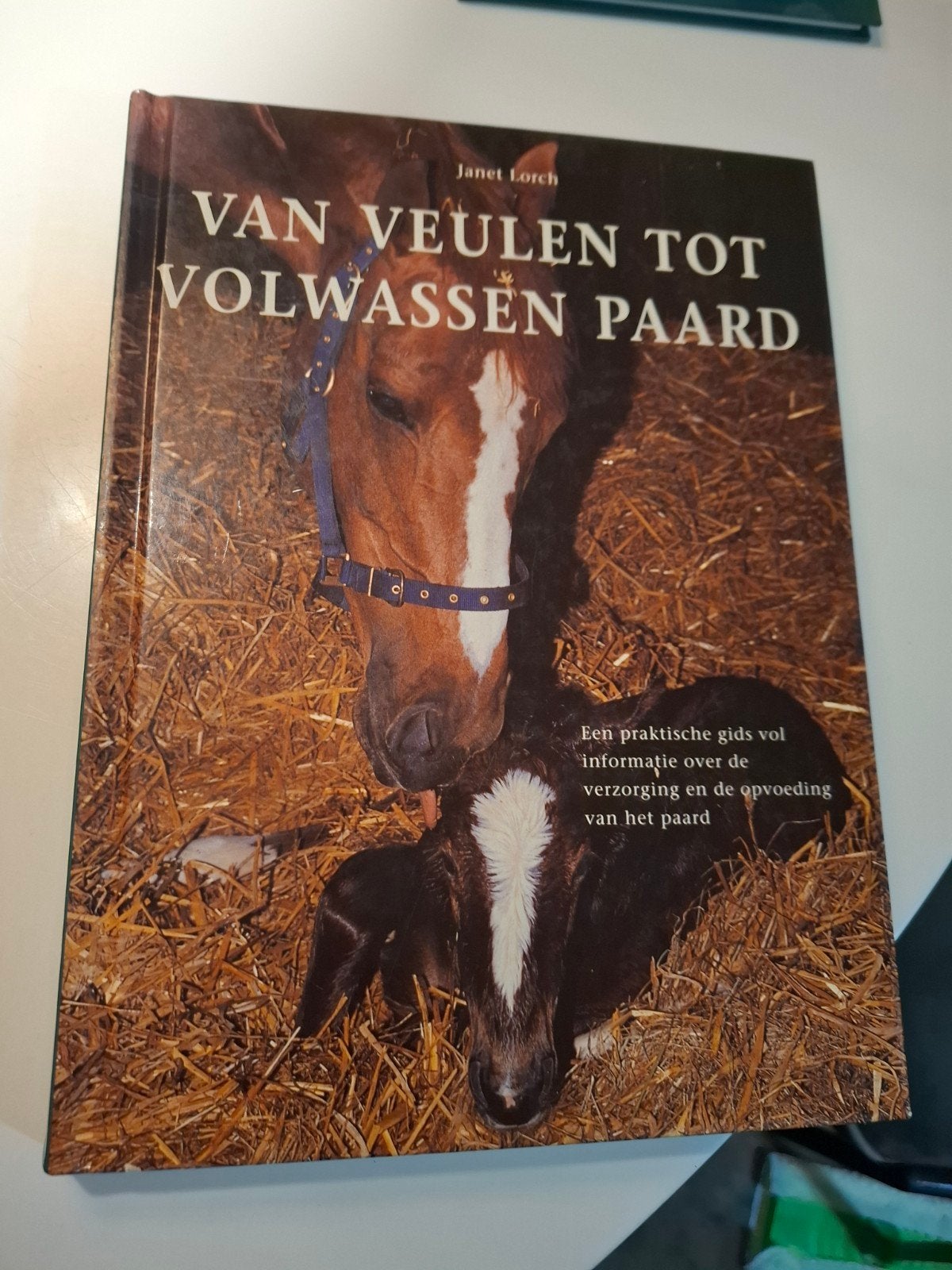 Van Veulen tot Volwassen Paard - Janet Lorch, Ophalen of Verzenden, Gelezen, Janet Lorch