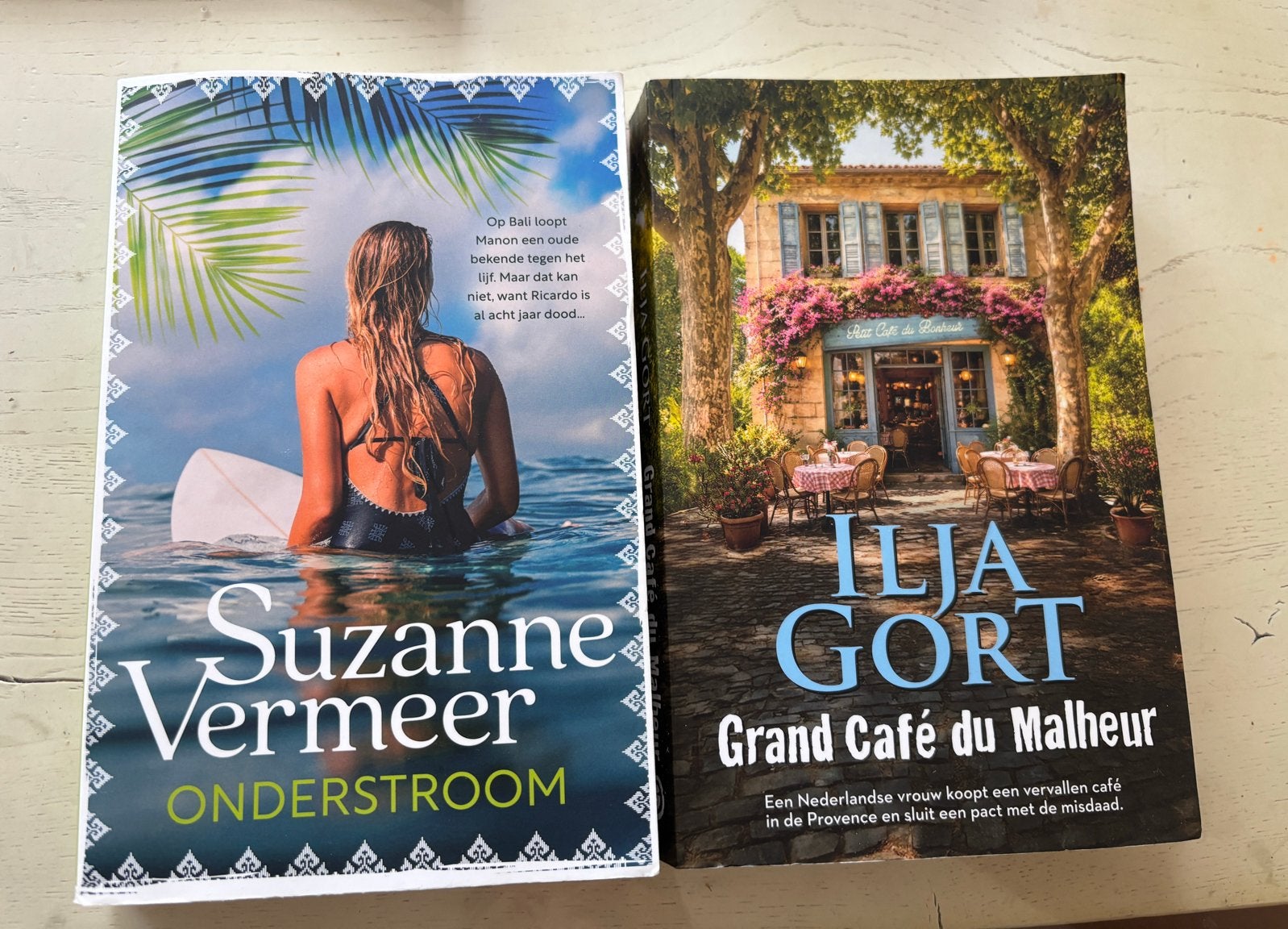 Boeken: Onderstroom (Vermeer) & Grand Café du Malheur (Gort), Ophalen of Verzenden, Gelezen, Nederland