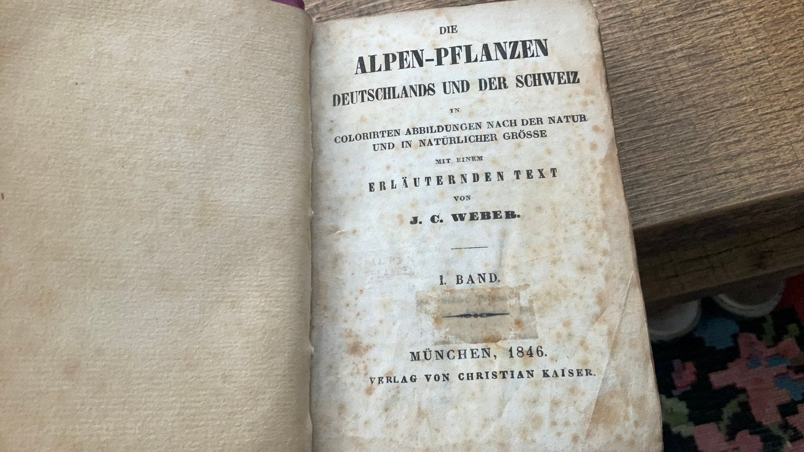 Alphen-Pflanzen, Ophalen of Verzenden
