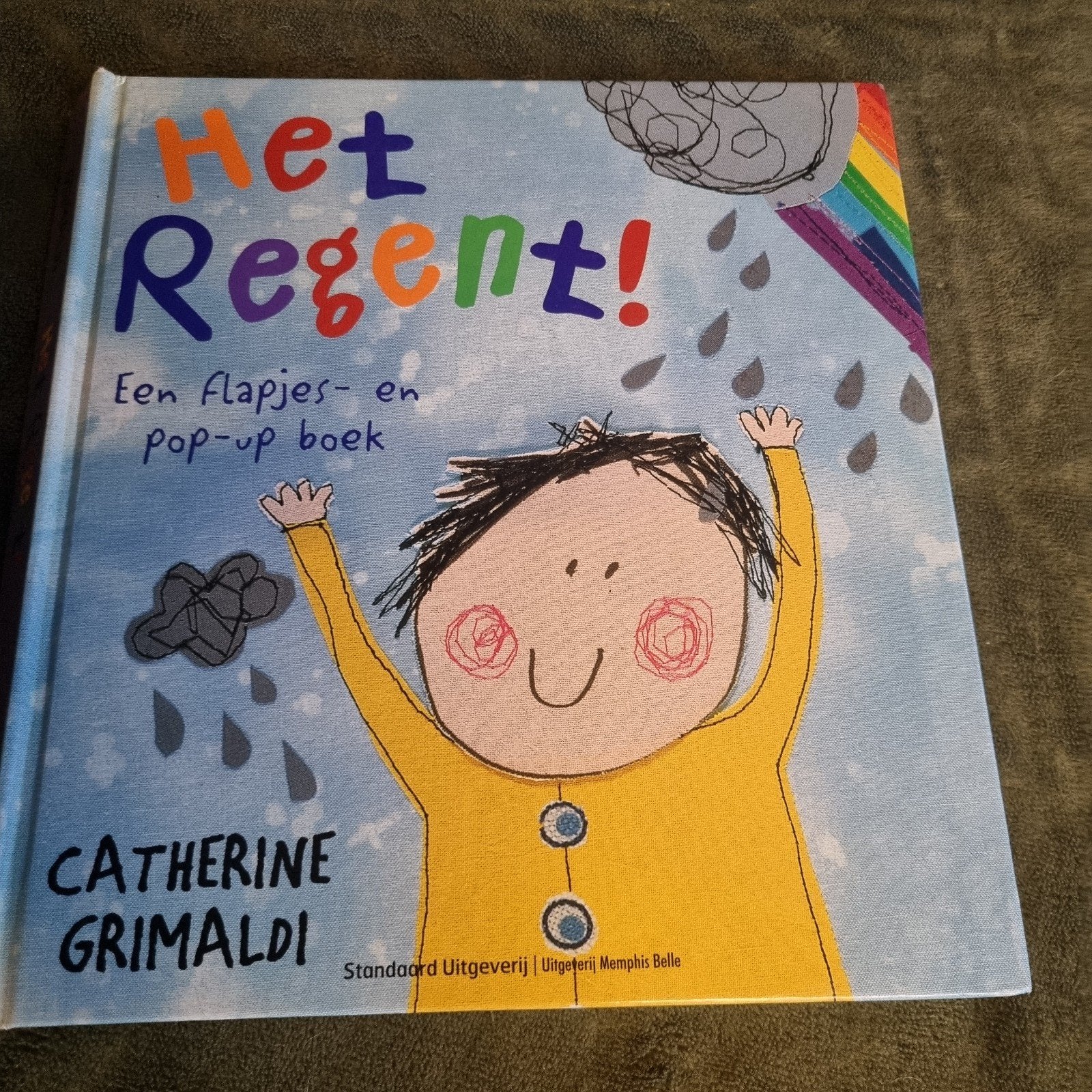 Het Regent! Een Flapjes- en Pop-up Boek, Boeken, Catherine Grimaldi, Jongen of Meisje, Voorleesboek, Ophalen of Verzenden