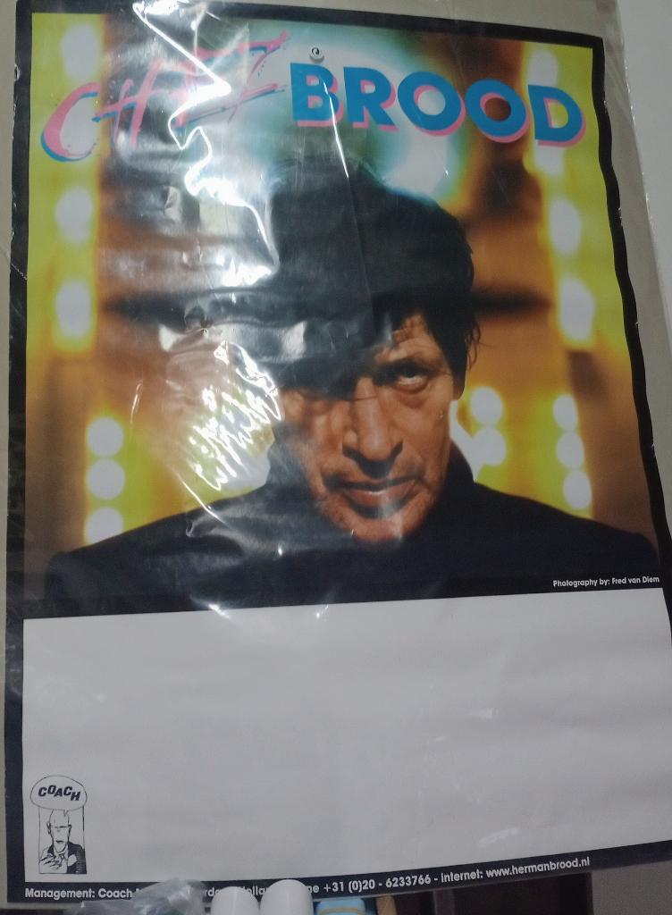 TOURPOSTER HERMAN BROOD  CHEZ BROOD, Verzamelen, Ophalen of Verzenden, A1 t/m A3, Muziek, Rechthoekig Staand