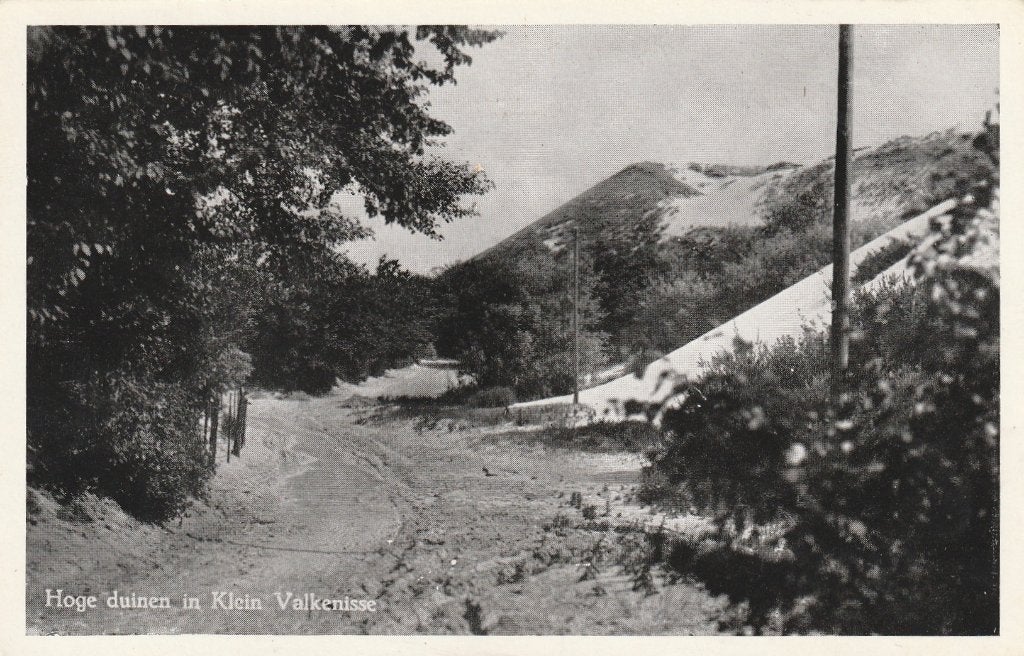 VALKENISSE Hoge Duinen in Klein Valkenisse, Verzamelen, Verzenden, 1920 tot 1940, Ongelopen, Zeeland