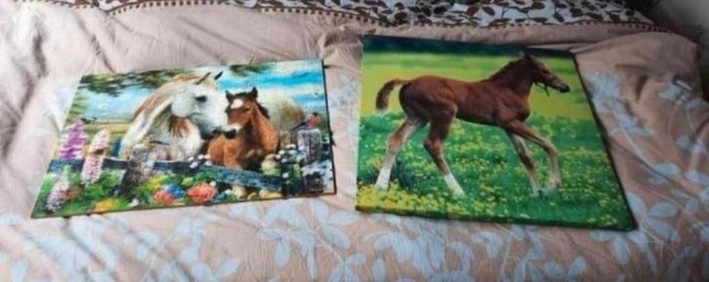 Wanddecoratie paard (canvas en 3d puzzel op plaat), Kinderen en Baby's, Kinderkamer | Inrichting en Decoratie, Ophalen