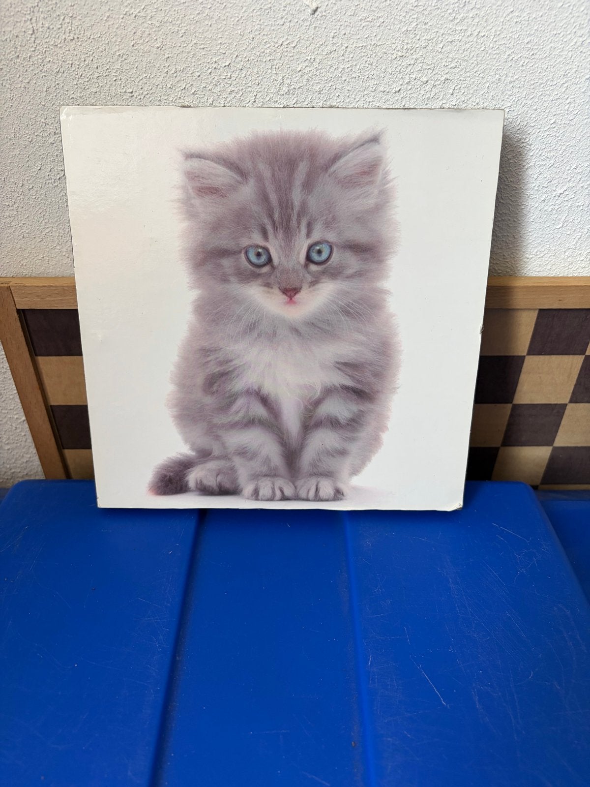 Schattige kitten schilderijtje, Minder dan 50 cm, Ophalen of Verzenden, Zo goed als nieuw, Foto of Poster