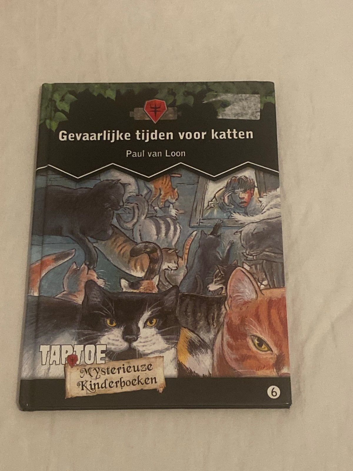 Gevaarlijke tijden voor katten - Paul van Loon, Verzenden, Gelezen, Fictie algemeen