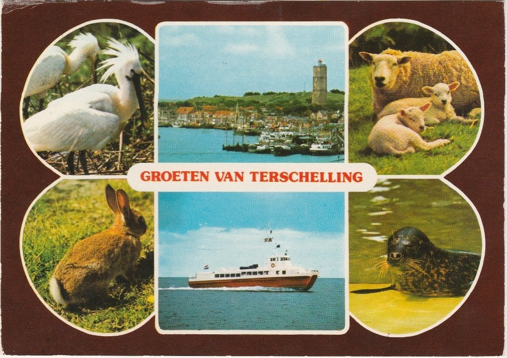 TERSCHELLING Dieren Dellewal Veerboot Groeten, Verzenden, 1960 tot 1980, Gelopen, Waddeneilanden