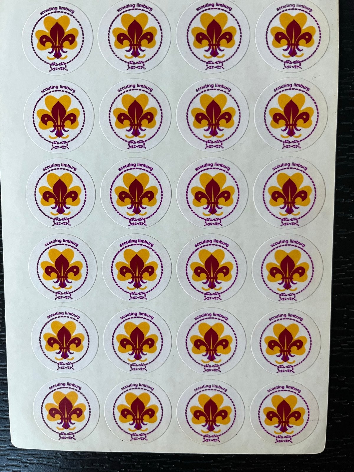 Stickervel Scouting Limburg - Fleur de Lis, Ophalen of Verzenden, Gebruikt, Overige typen
