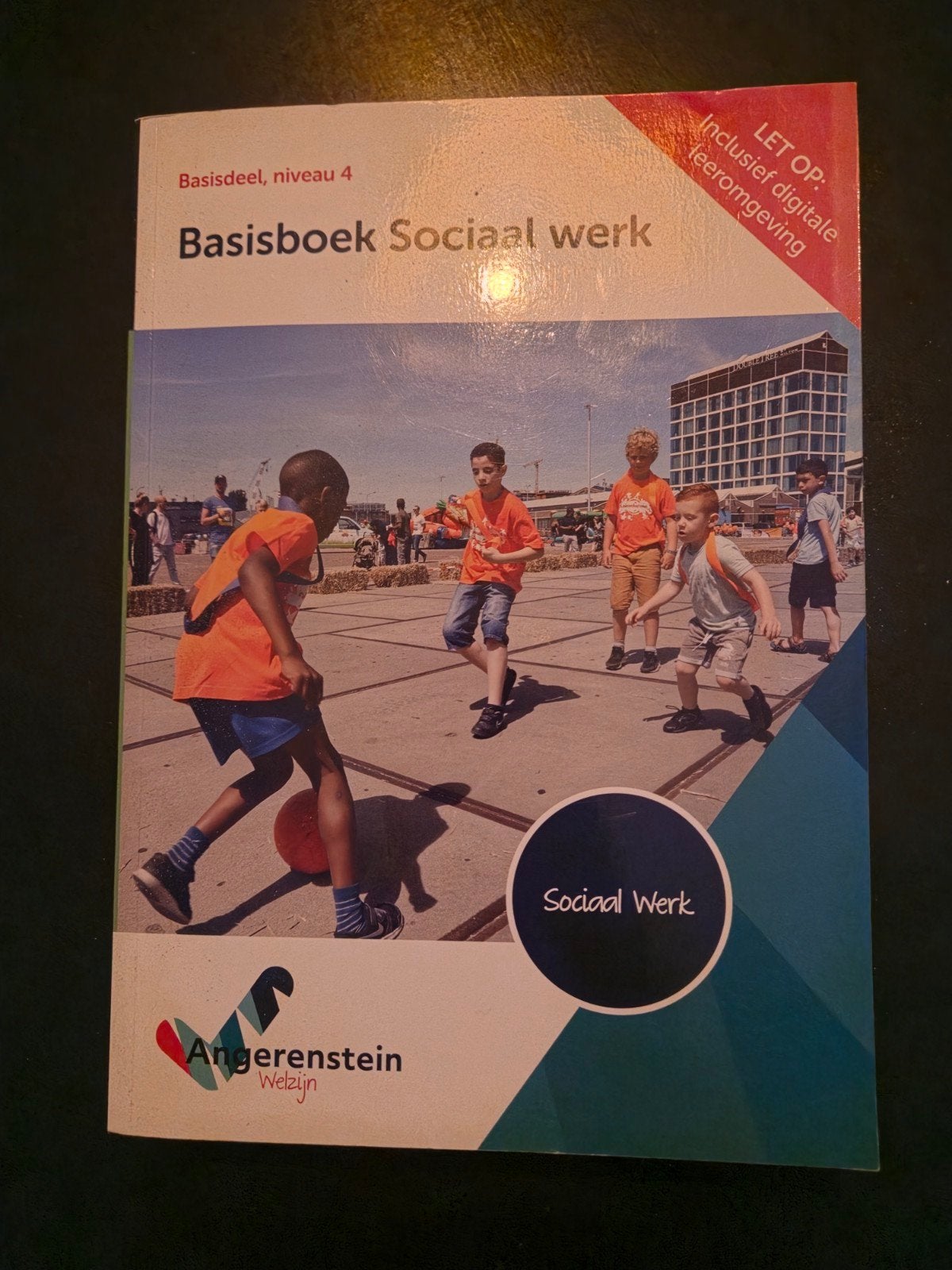 Basisboek Sociaal werk - Niveau 4, B. Becker, M. Beers, J. Bolt, W. den Brok, B. Brouwer, Ophalen of Verzenden, Zo goed als nieuw