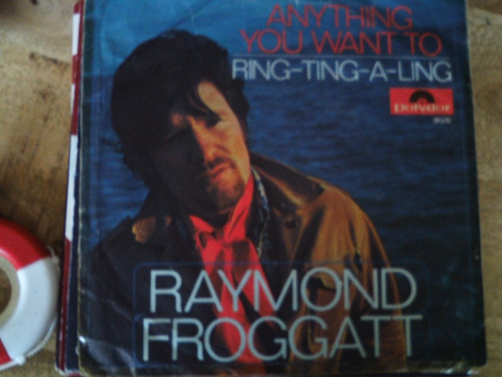 raymond froggatt - anything you want do 18jun, Fotohoes, Ophalen of Verzenden, Zo goed als nieuw, Pop