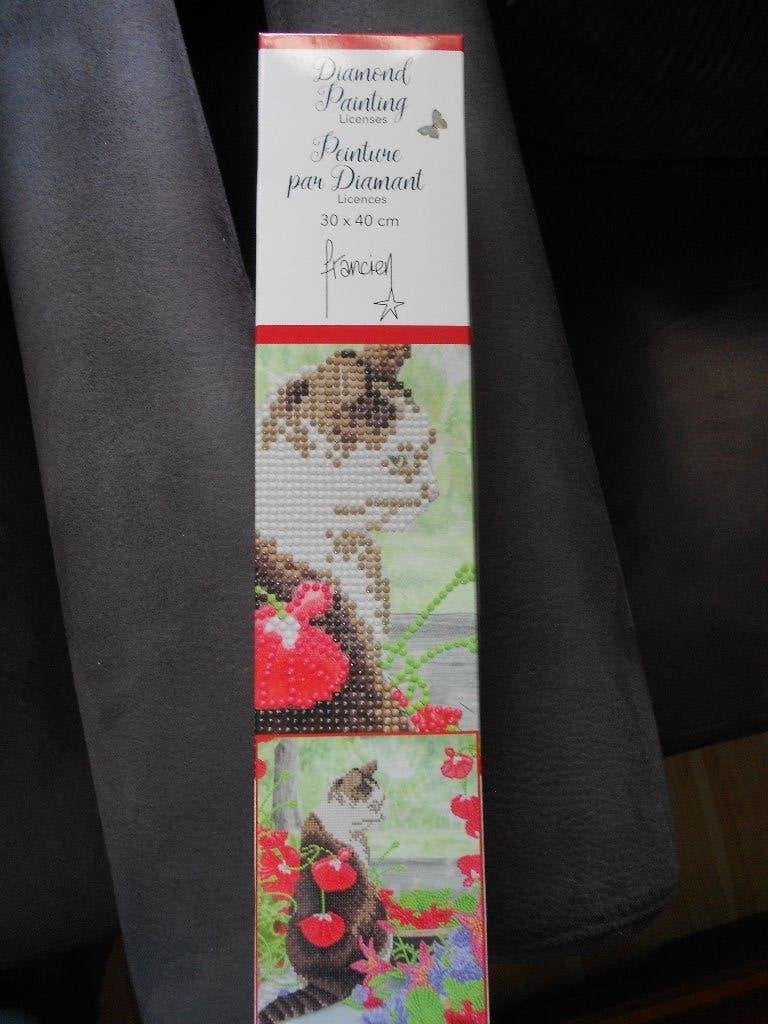 1x Diamond Painting Franciens katten 30 x 40 cm., Ophalen, Nieuw, Dieren, Diamond painting