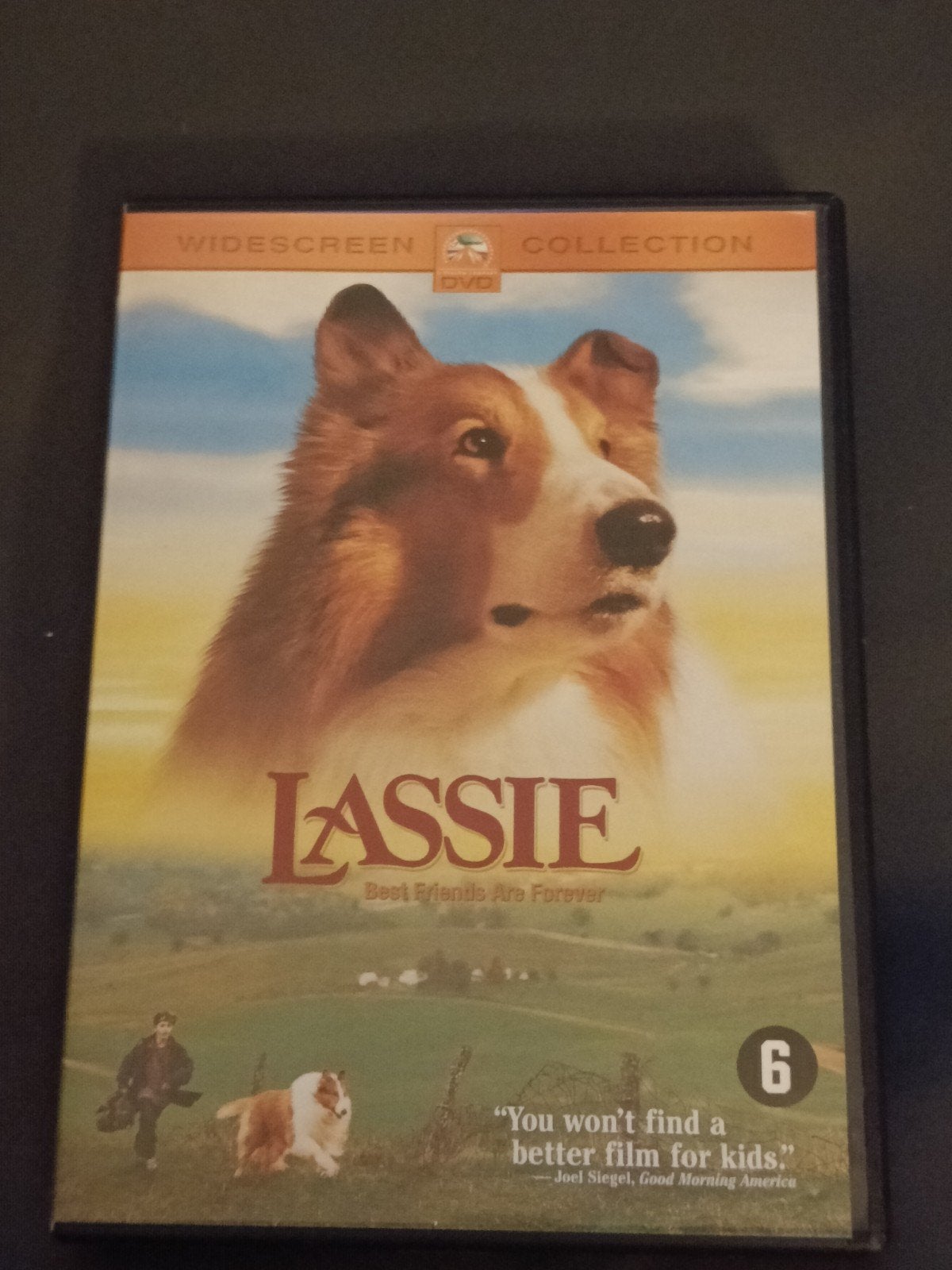 Lassie: Best Friends Are Forever DVD - Familiefilm, Alle leeftijden, Nederlands, Breedbeeld, Ophalen of Verzenden