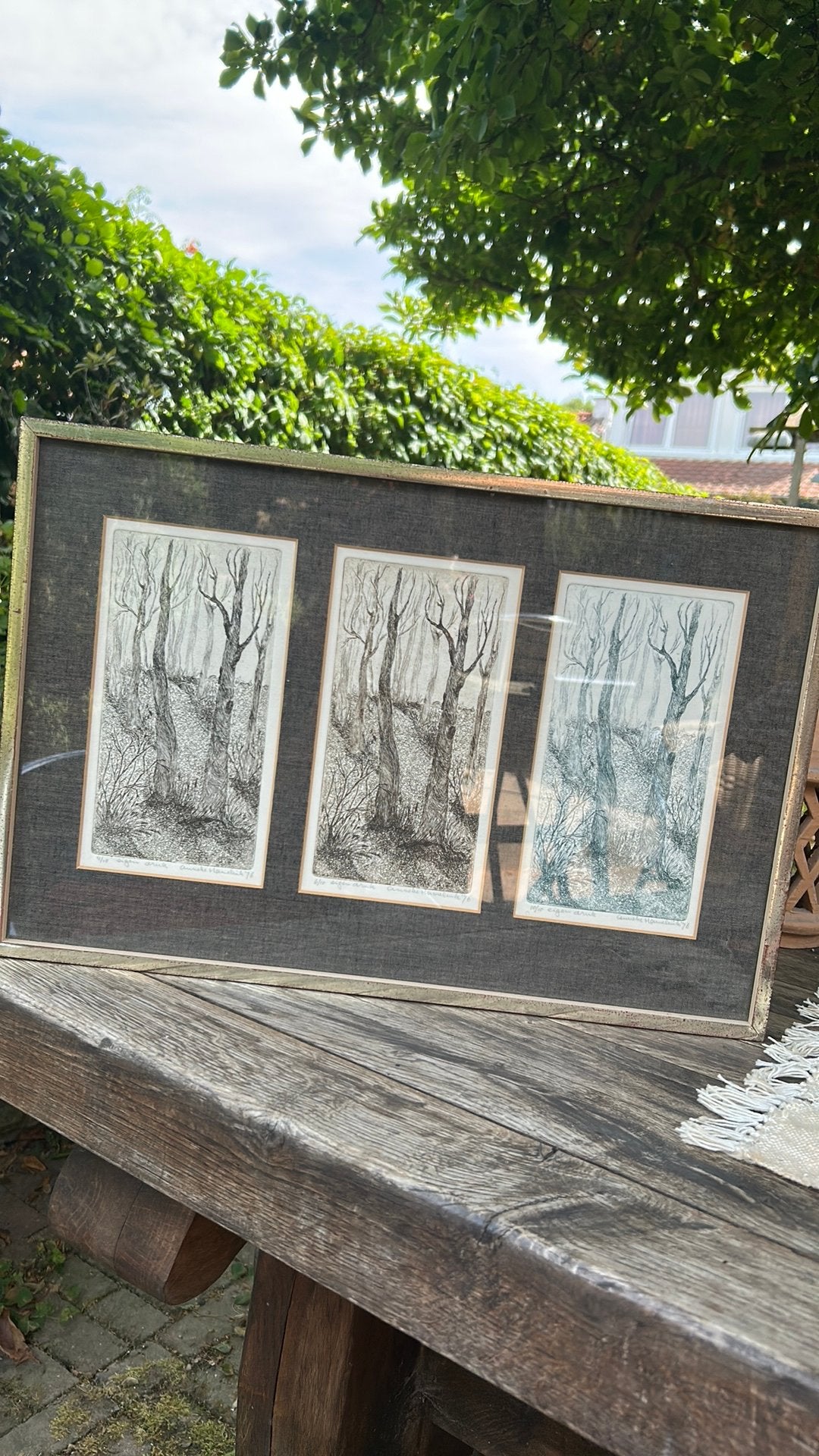 3 etsen in 1 Anneke Hamelinck 1976 eigen druk ‘Bomen’, Ophalen of Verzenden, Flora en Fauna, Ets, 1950 - 1999