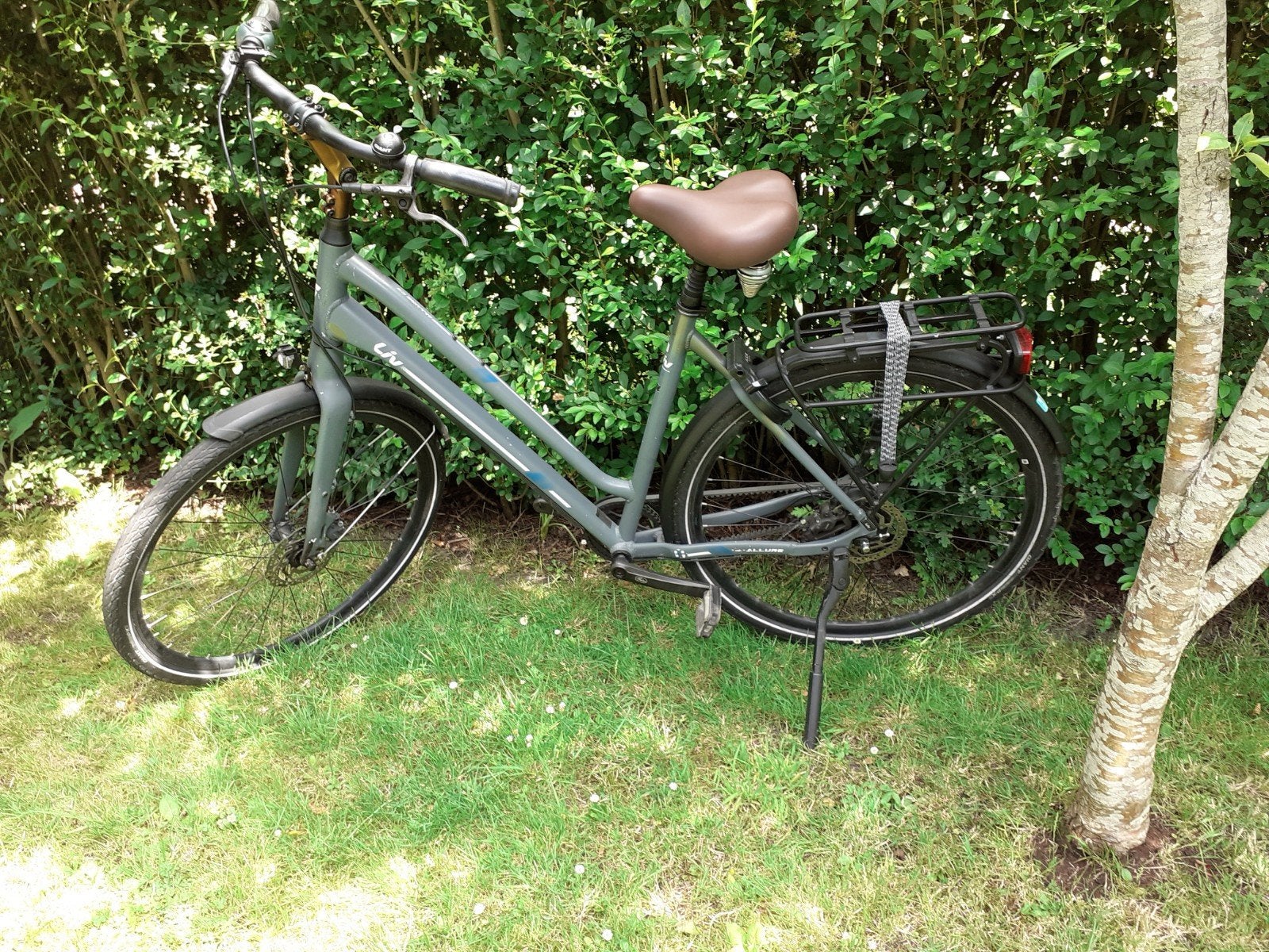 Liv Allure damesfiets, beltdrive maat L, Giant, Fietsen en Brommers, Ophalen, Versnellingen, Schijfrem, 53 tot 56 cm