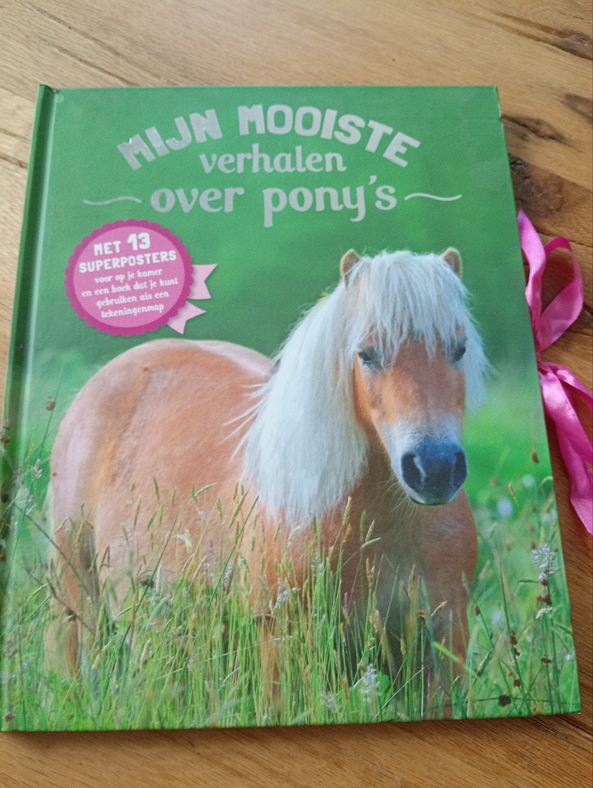 Mijn Mooiste Verhalen over Pony's met 13 Superposters, Ophalen of Verzenden, Zo goed als nieuw, Christelle Huet-Gomez