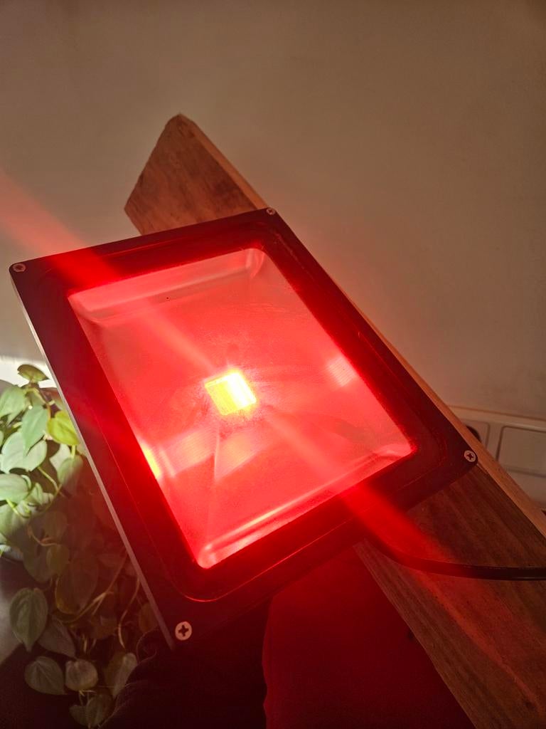Te ruil Rode led buitenlamp geen infrarood, Minder dan 50 watt, Wandlamp, Ophalen of Verzenden, Rvs