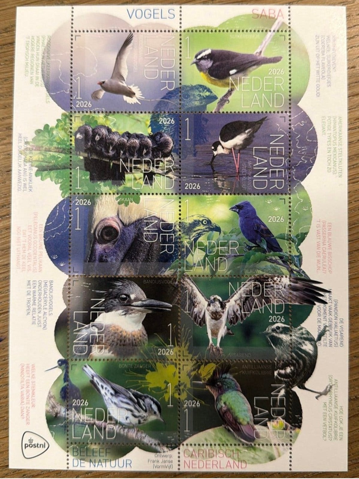 Postzegels pf. Beleef de natuur. Saba-vogels, Postzegels en Munten, Ophalen of Verzenden, Na 1940, Postfris