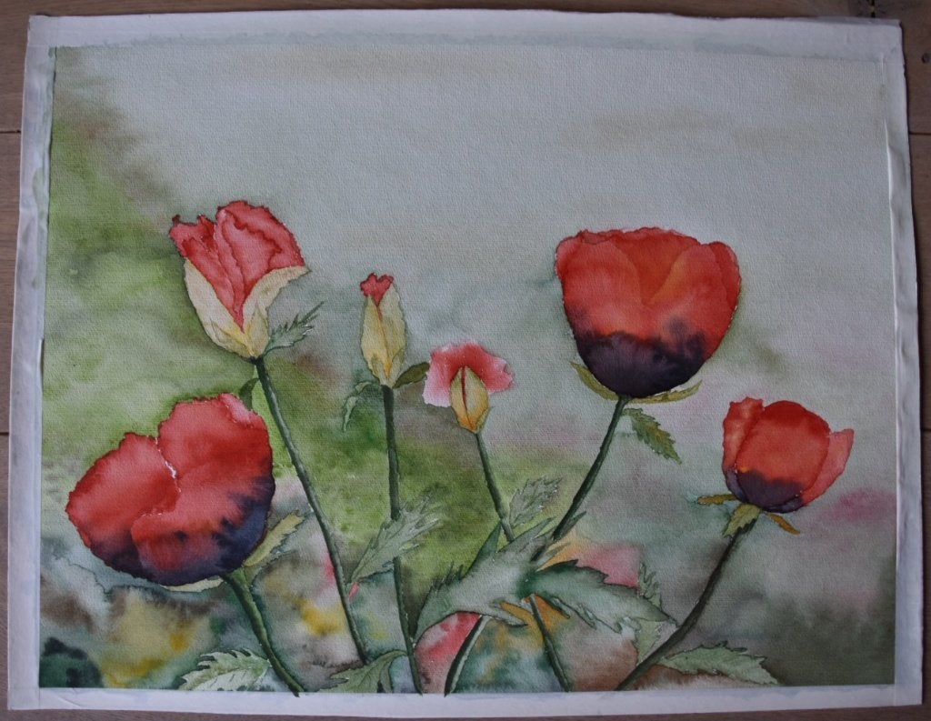Levendige aquarel van klaprozen op papier, 46 x 61 cm, Realistisch, Aquarel, Handgeschilderd, Papier
