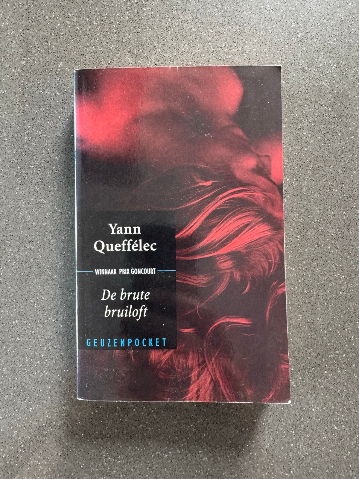 De brute bruiloft - Yann Queffélec (Geuzenpocket), Ophalen of Verzenden, Gelezen, Europa overig