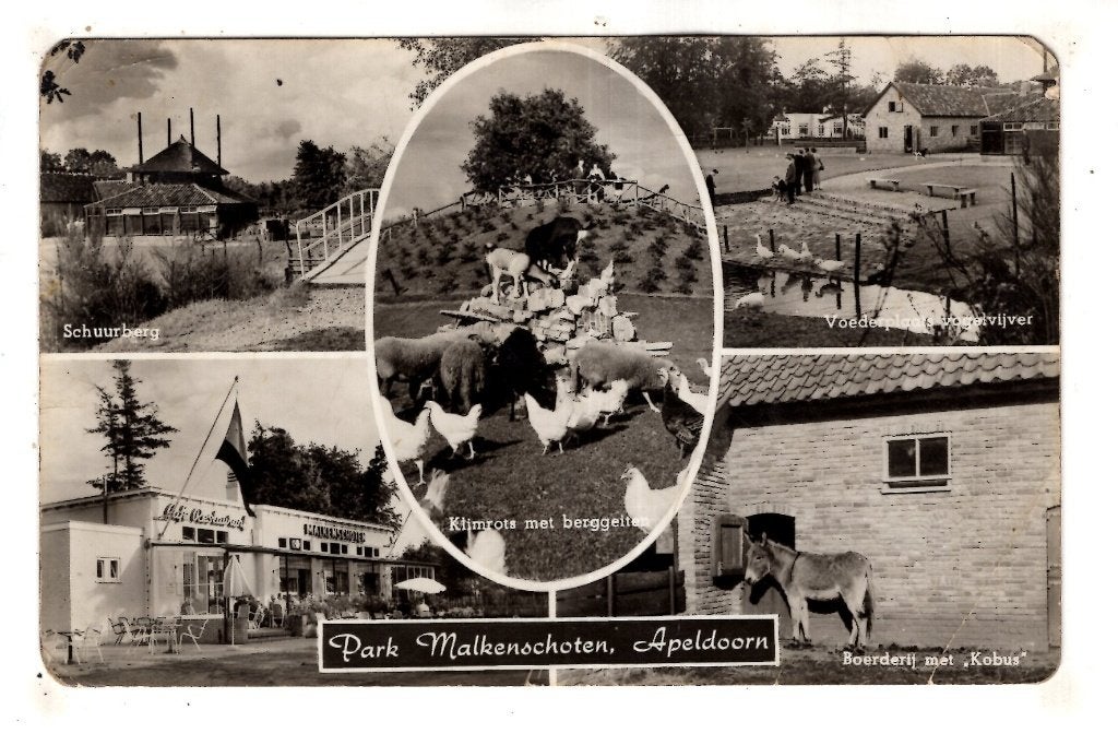 Apeldoorn  1 Dierentuin Malkenschoten, Verzenden, 1940 tot 1960, Gelderland