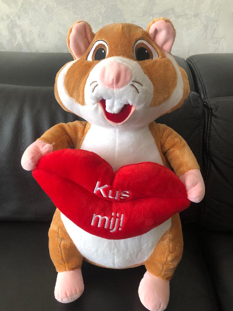 AH hamster, Albert Heijn, Overige typen, Ophalen of Verzenden, Zo goed als nieuw