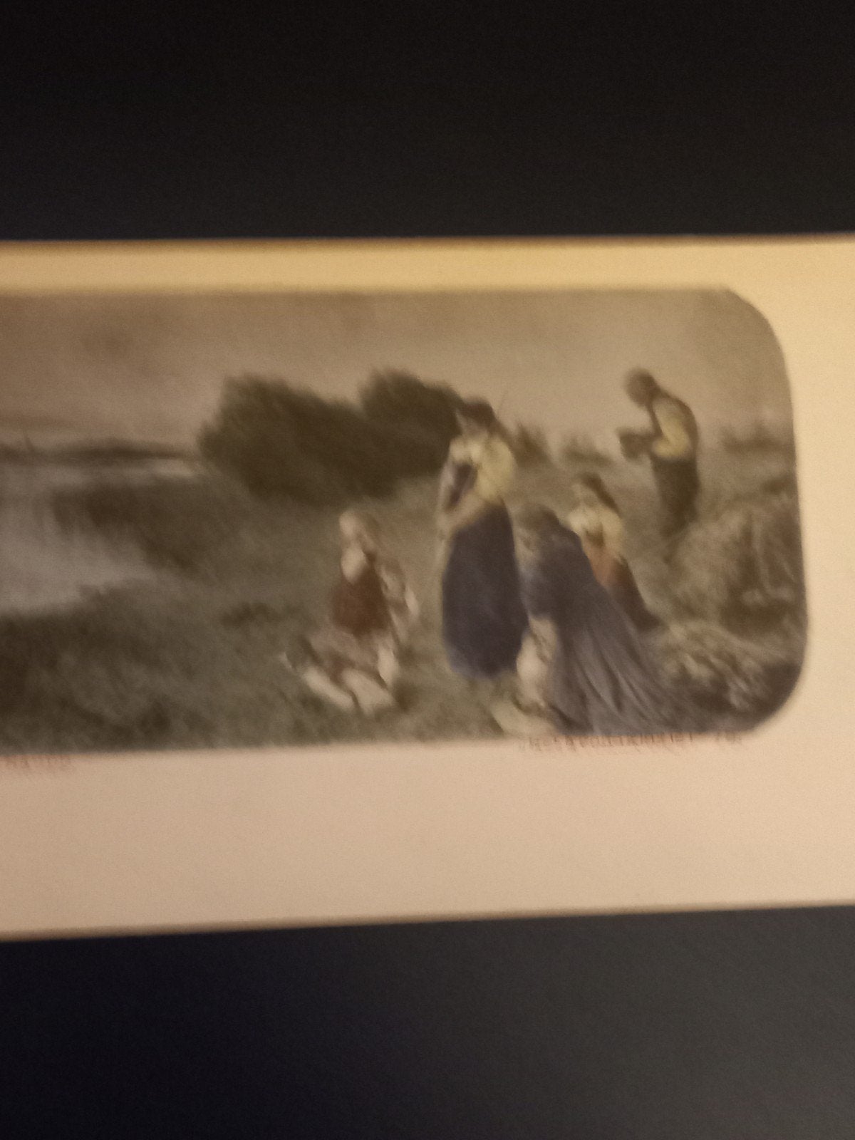 Briefkaart  Het avondklokje. K Raupp, Verzenden, Voor 1920, Ongelopen, Natuur