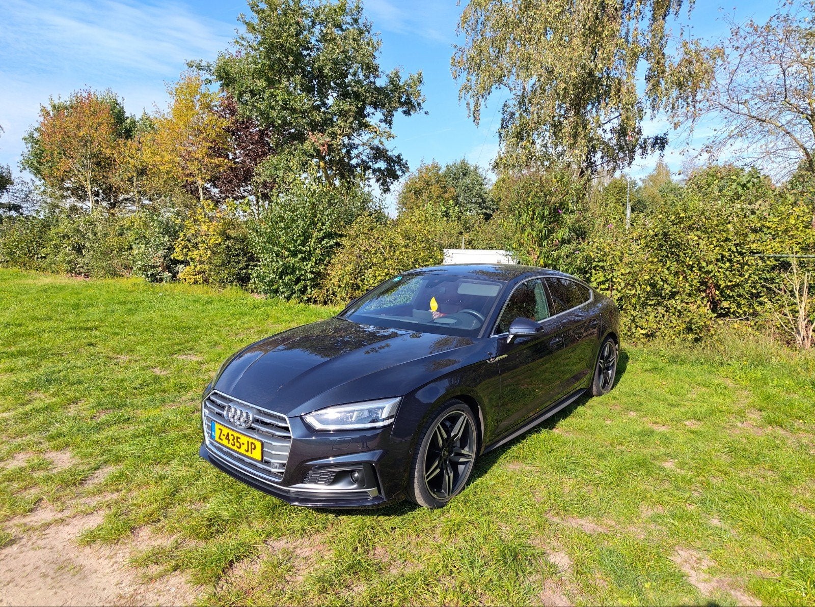 Audi A5 2.0 Tfsi Quattro 252pk S Tronic 2017 Blauw, Auto's, 4 cilinders, 1984 cc, Blauw, 75 €/maand