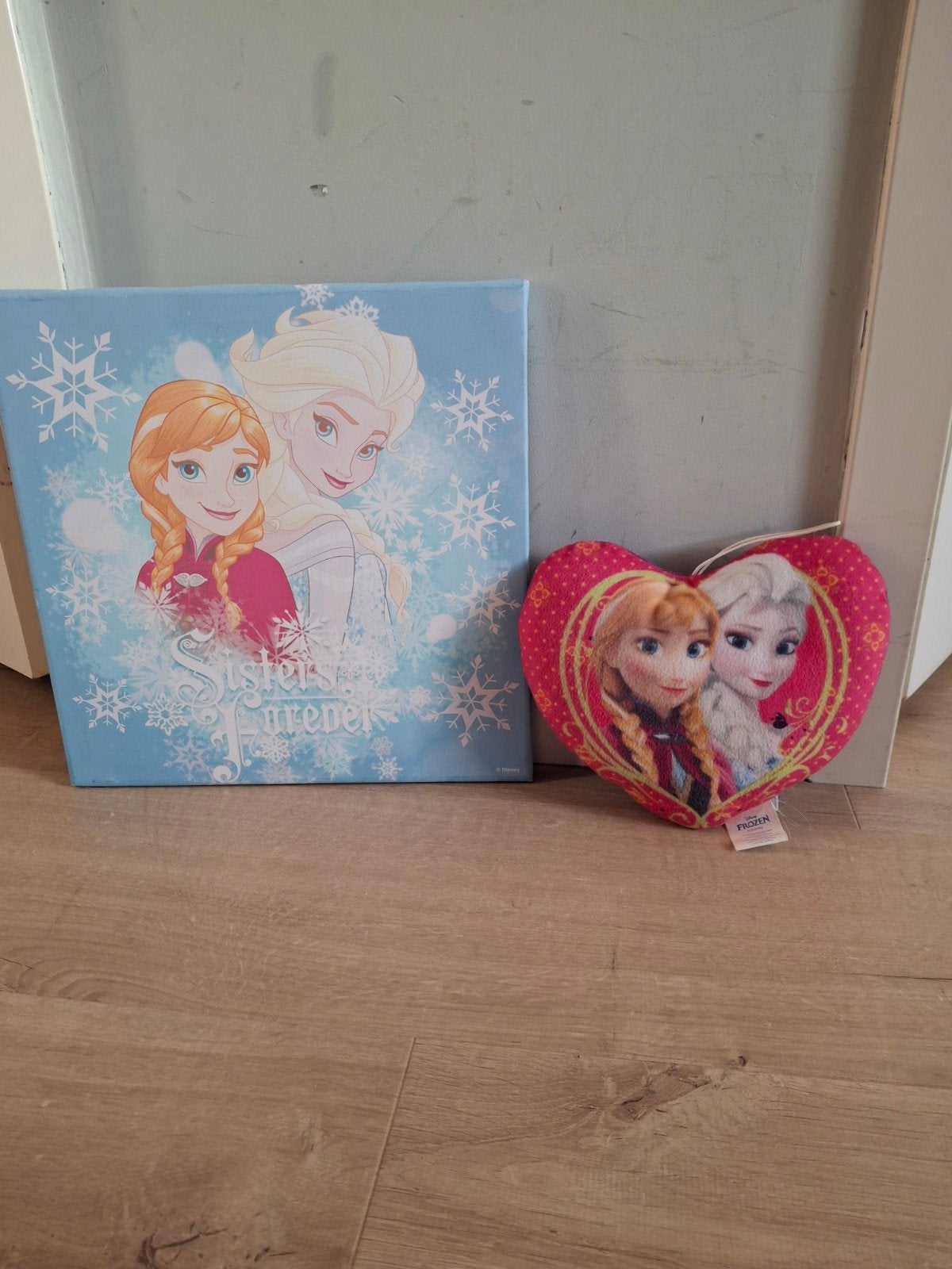 frozen schilderij en klein kussentje, Ophalen of Verzenden, Zo goed als nieuw, Kleed of Kussen