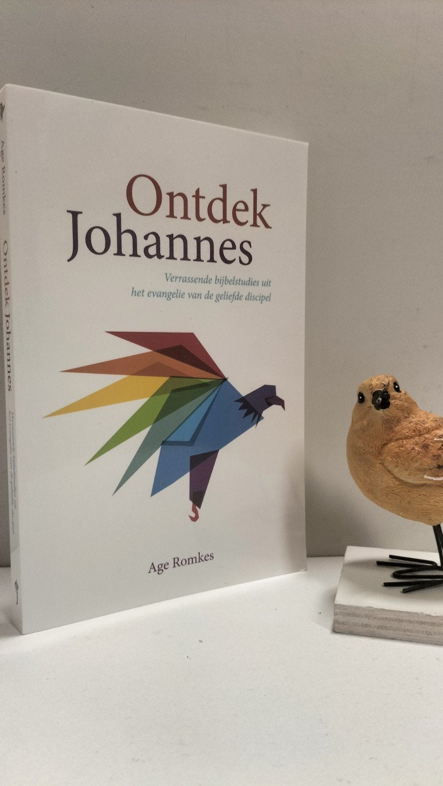Romkes Age; Ontdek Johannes, Ophalen of Verzenden, Gelezen, Christendom | Protestants