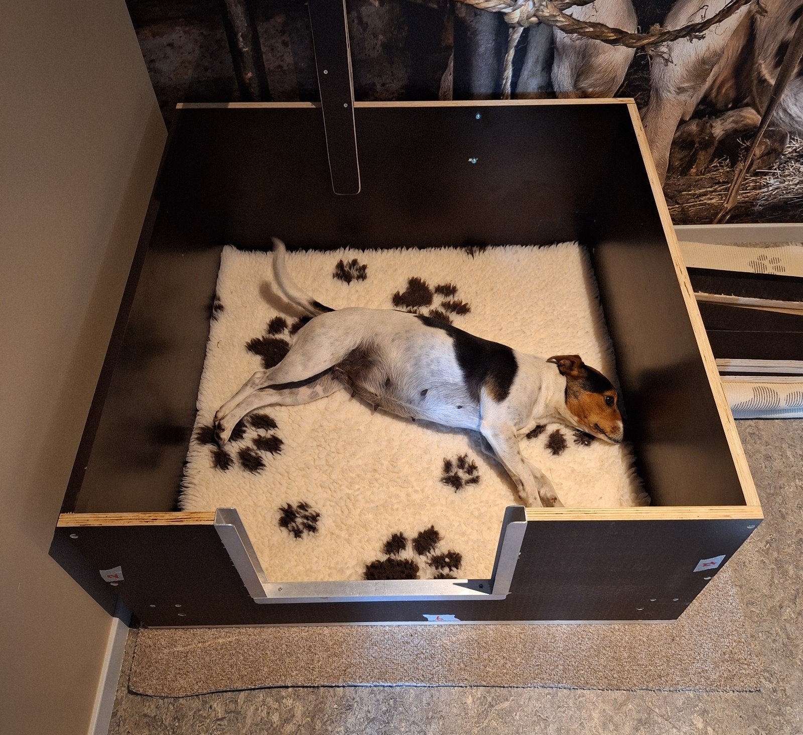 Te koop werpkist 90x90, Dieren en Toebehoren, Ophalen, Zo goed als nieuw, Overige