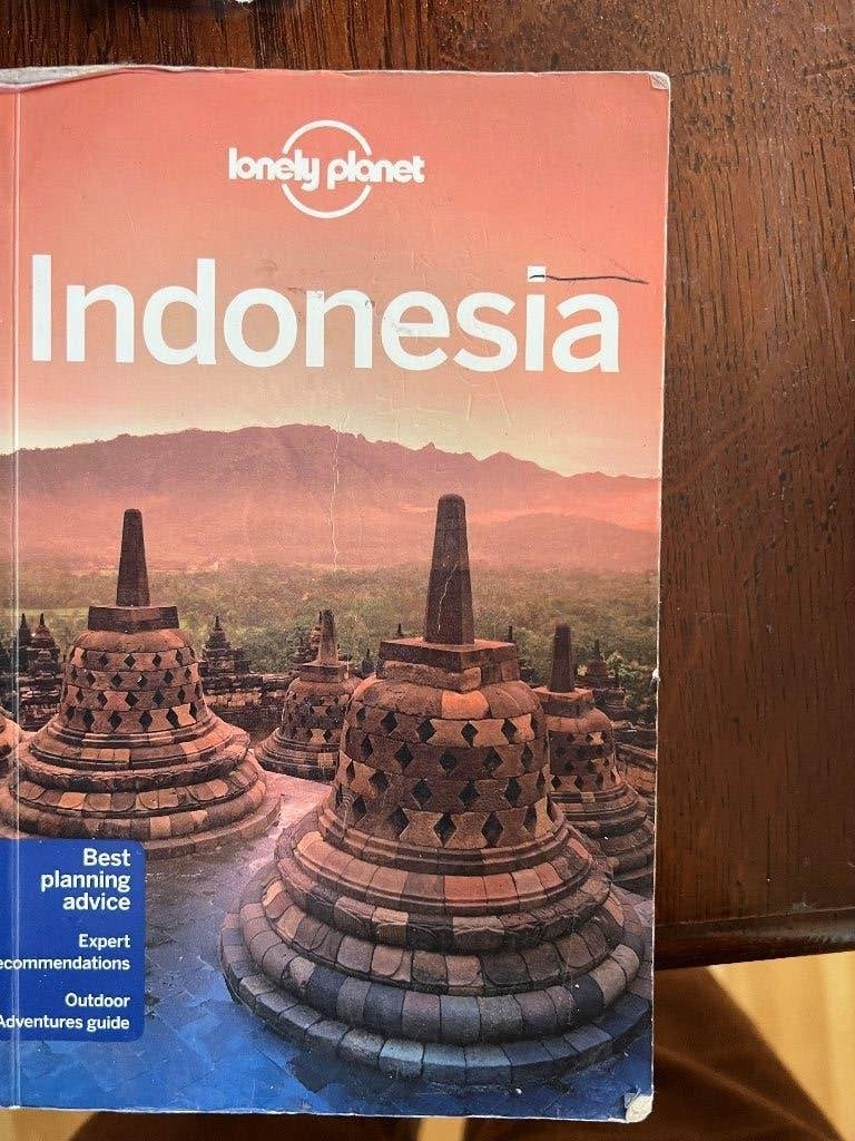 Indonesia Lonely Planet 10e editie 2013, Gelezen, Lonely Planet, Ophalen of Verzenden, Reisgids of -boek