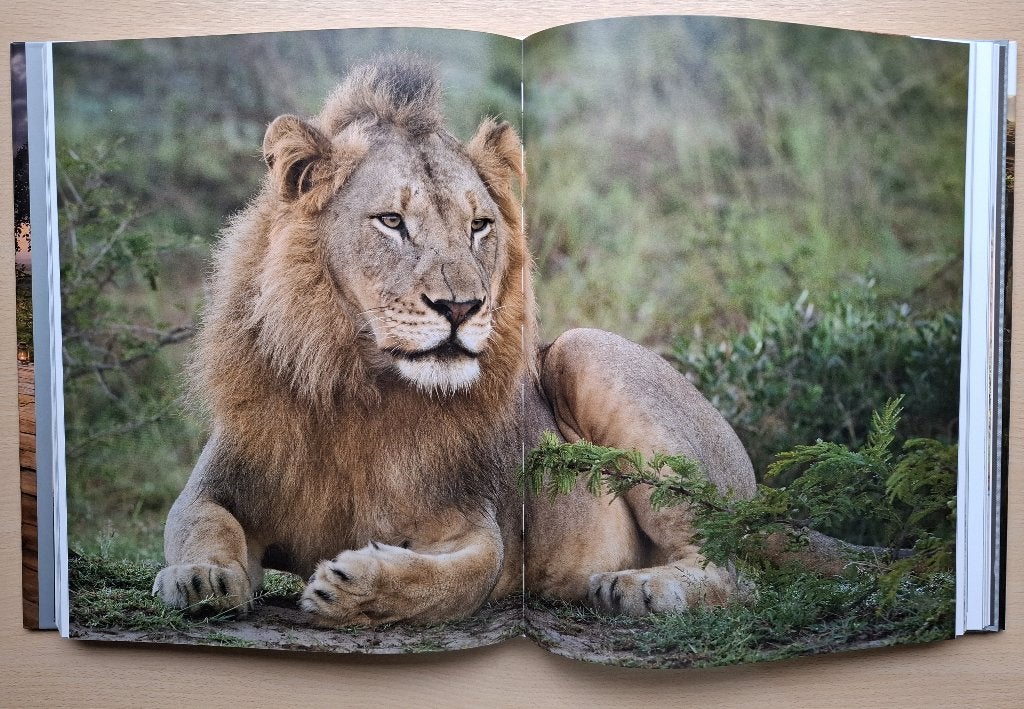 Boek Wild Romance - Africa's most romantic safari lodges, Boeken, Ophalen of Verzenden, Zo goed als nieuw, Natuur algemeen