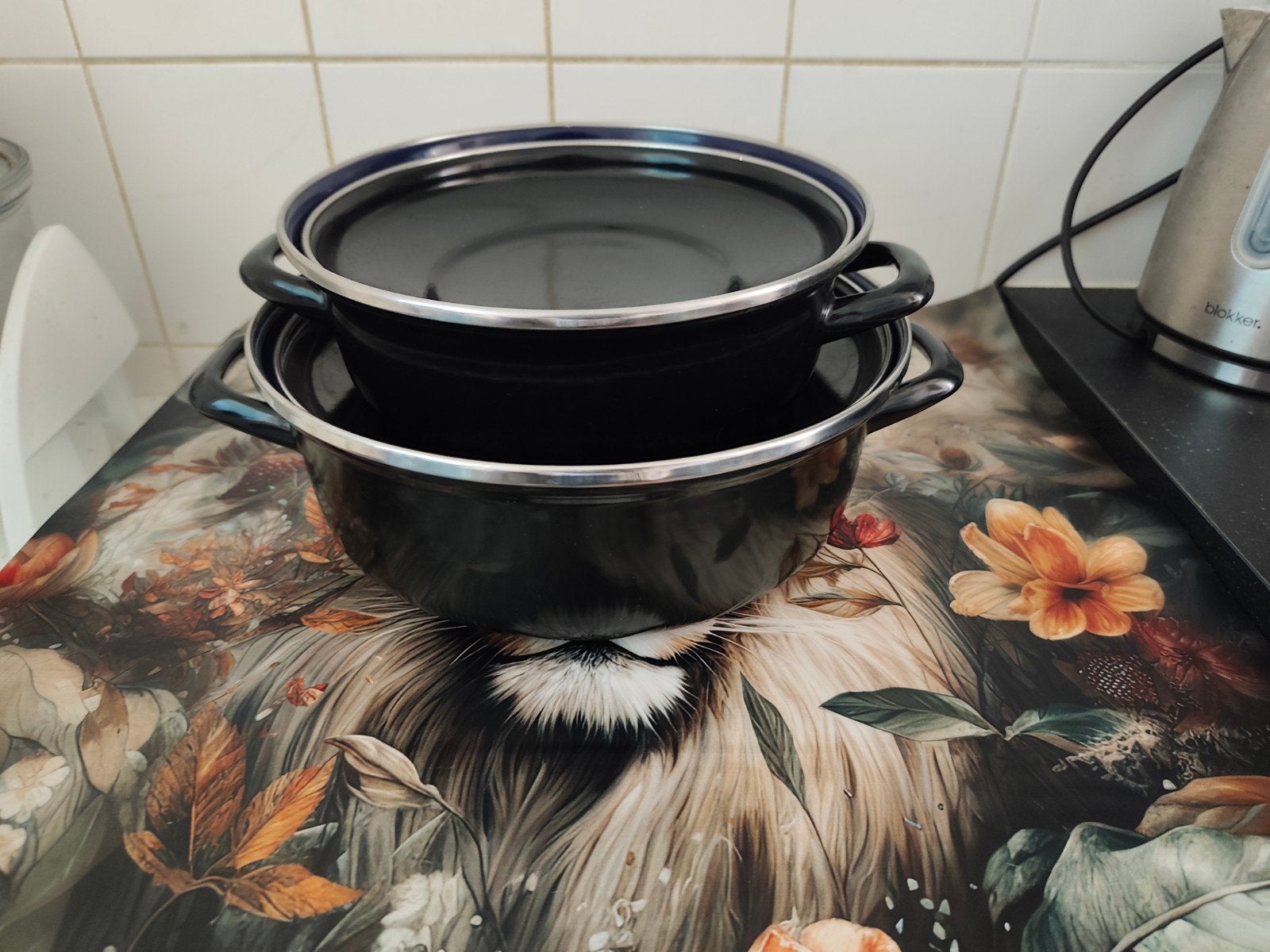 2x braadpannen, Huis en Inrichting, Keuken | Potten en Pannen, Ophalen, Zo goed als nieuw, Overige materialen