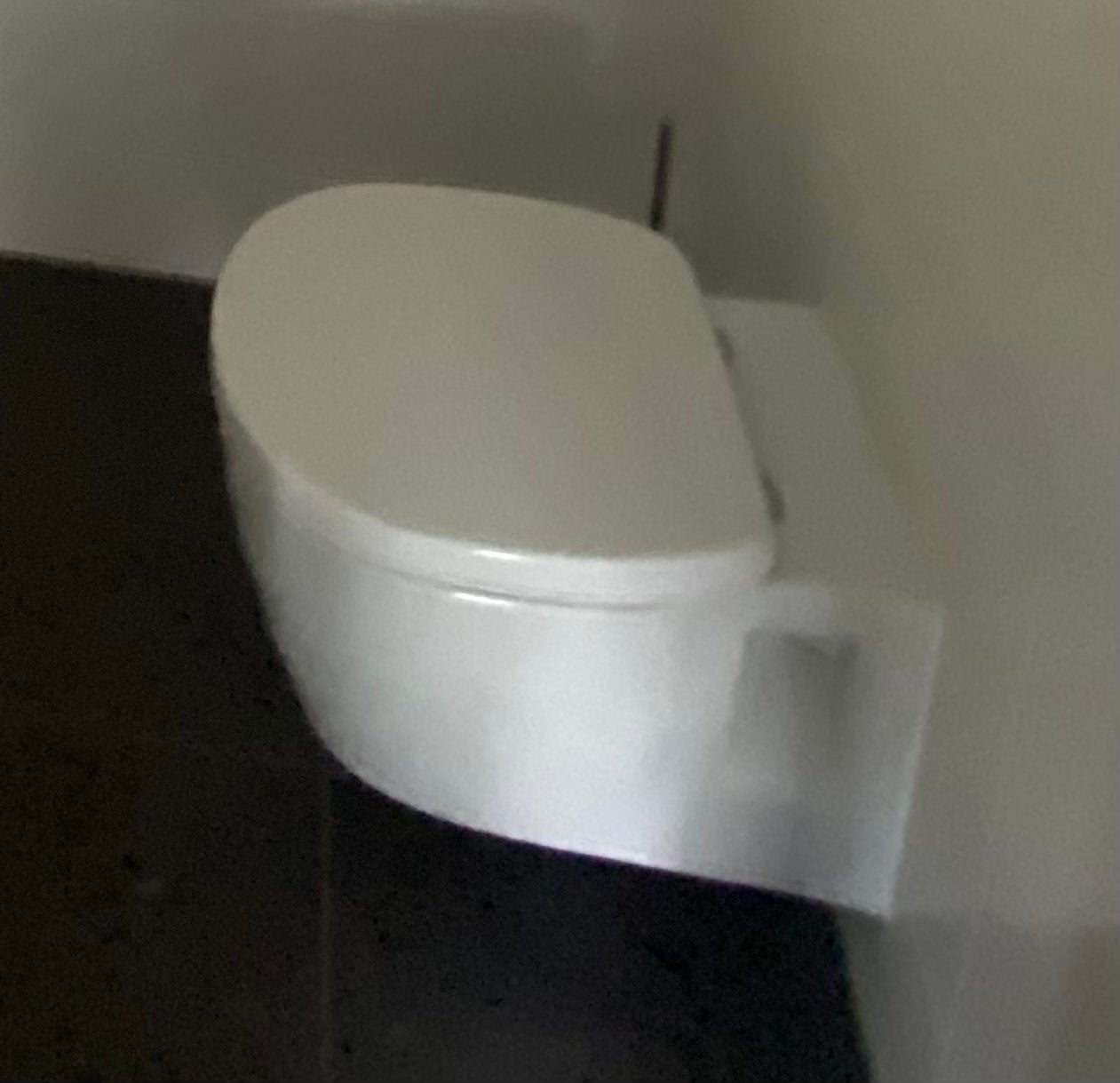 Ideal Standard Wandcloset met toiletzitting, Ophalen, Zo goed als nieuw, Toilet