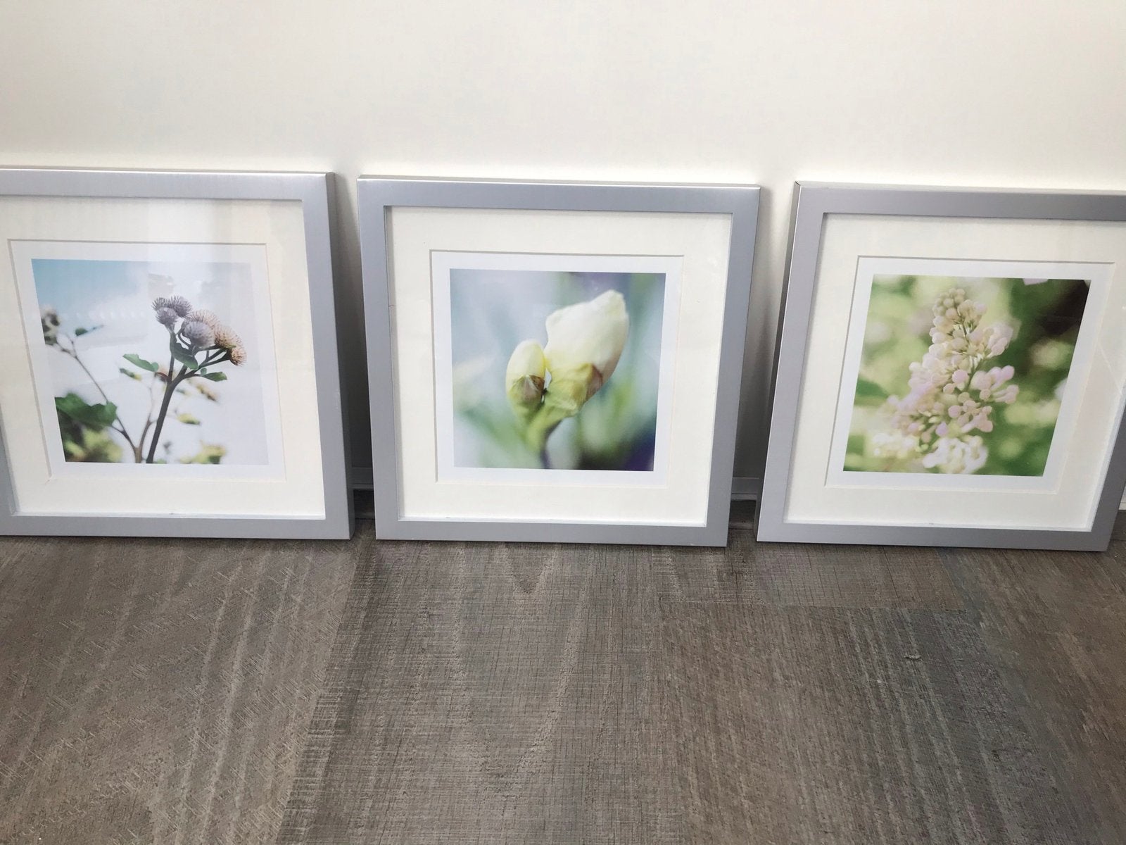 Drie zilverkleurige lijsten met natuurprint, Ophalen of Verzenden, Zo goed als nieuw