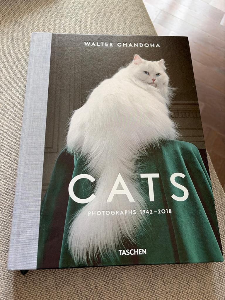 Koffietafelboek Cats - Walter Chandoha, Ophalen of Verzenden, Zo goed als nieuw, Katten