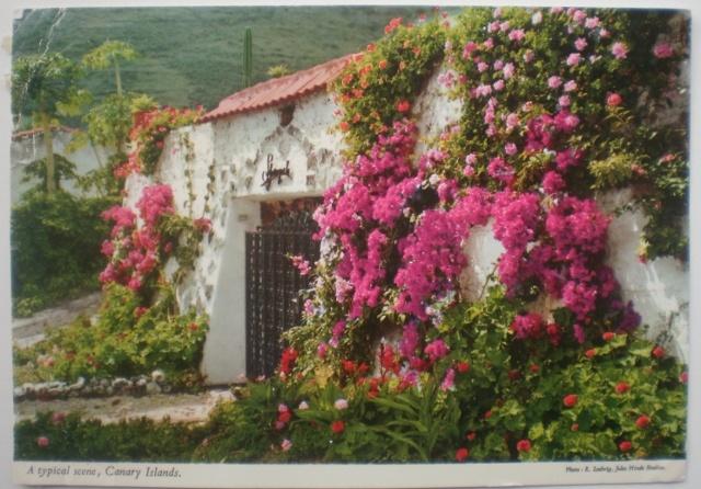 Oude ansichtkaart Canarische Eilanden, Spanje, Ophalen of Verzenden, 1980 tot heden, Gelopen, Spanje