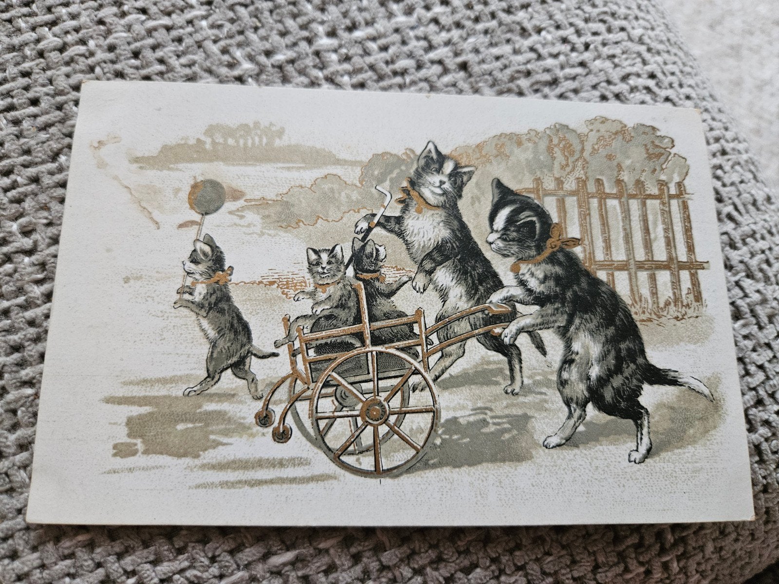 Katten met Kar antiek / reclame, Ophalen of Verzenden