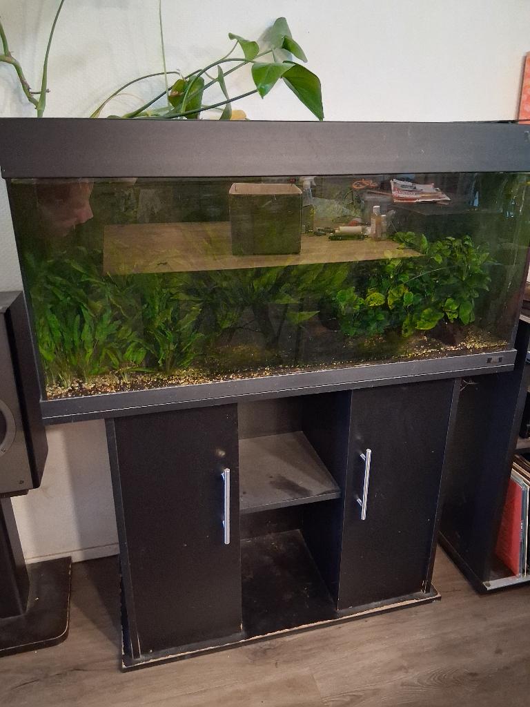 Aquarium juwel 180 liter, Dieren en Toebehoren, Ophalen, Gebruikt, Gevuld zoetwateraquarium, Verwarming